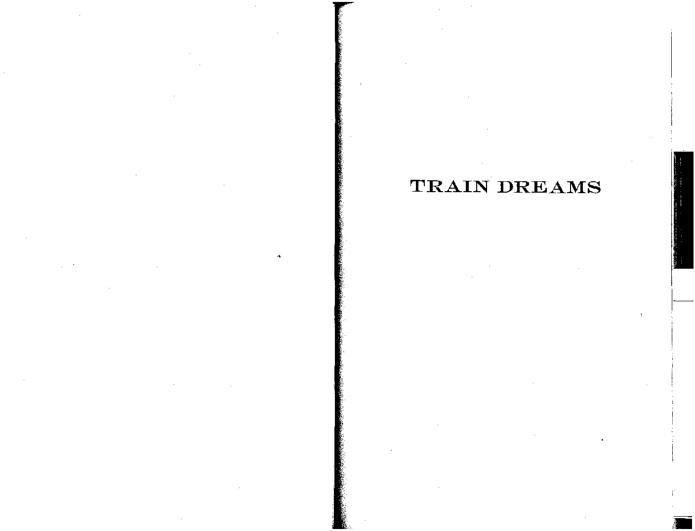 denis-johnson—train-dreams