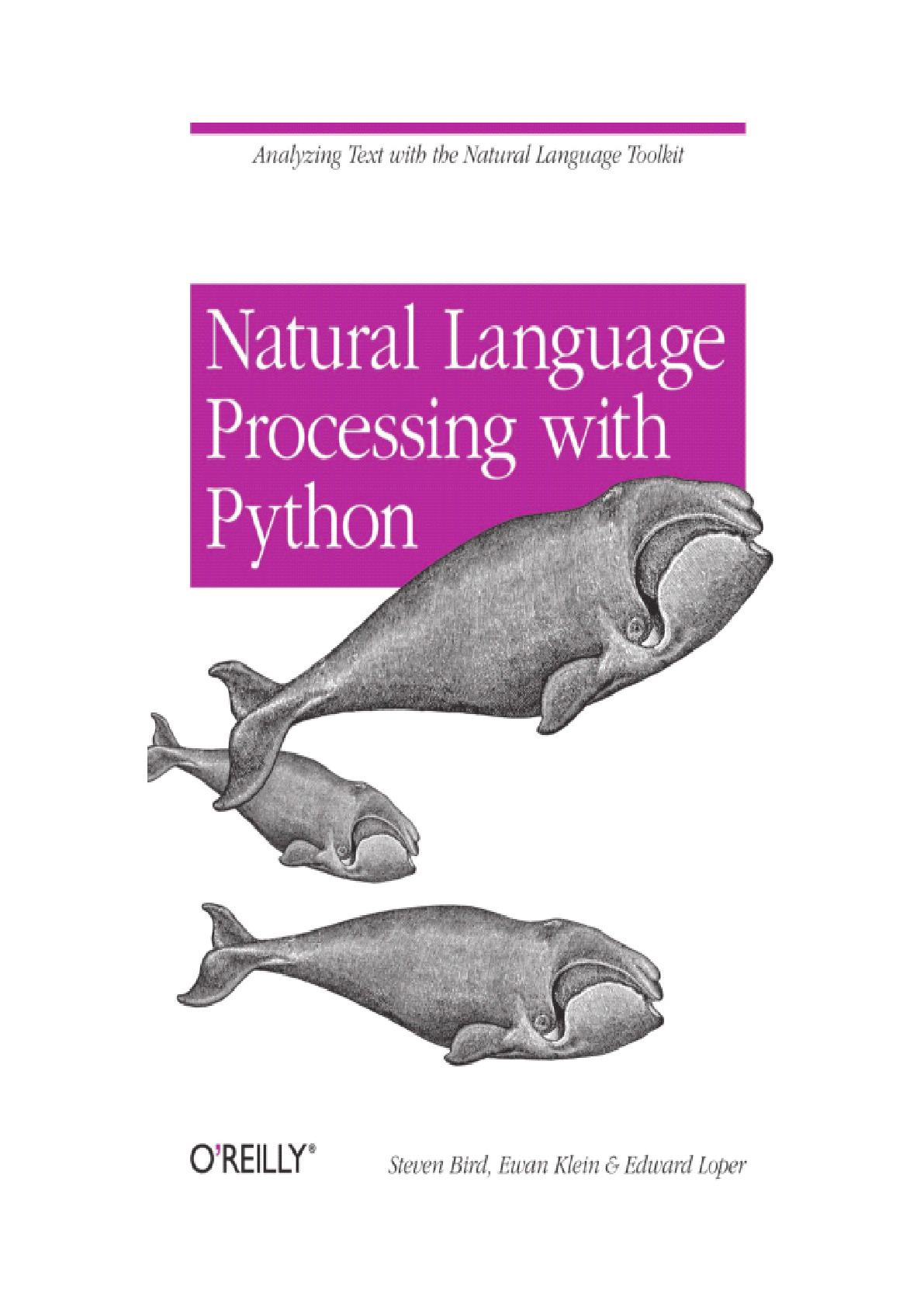 python自然语言处理中文版