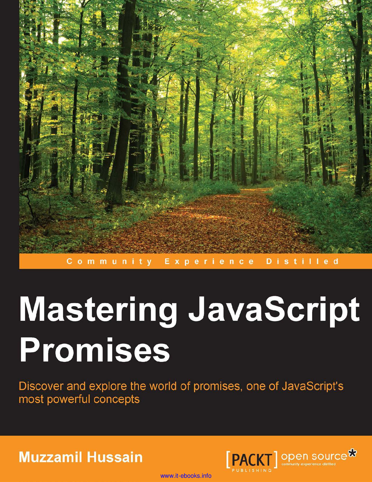 Mastering JavaScript Promises