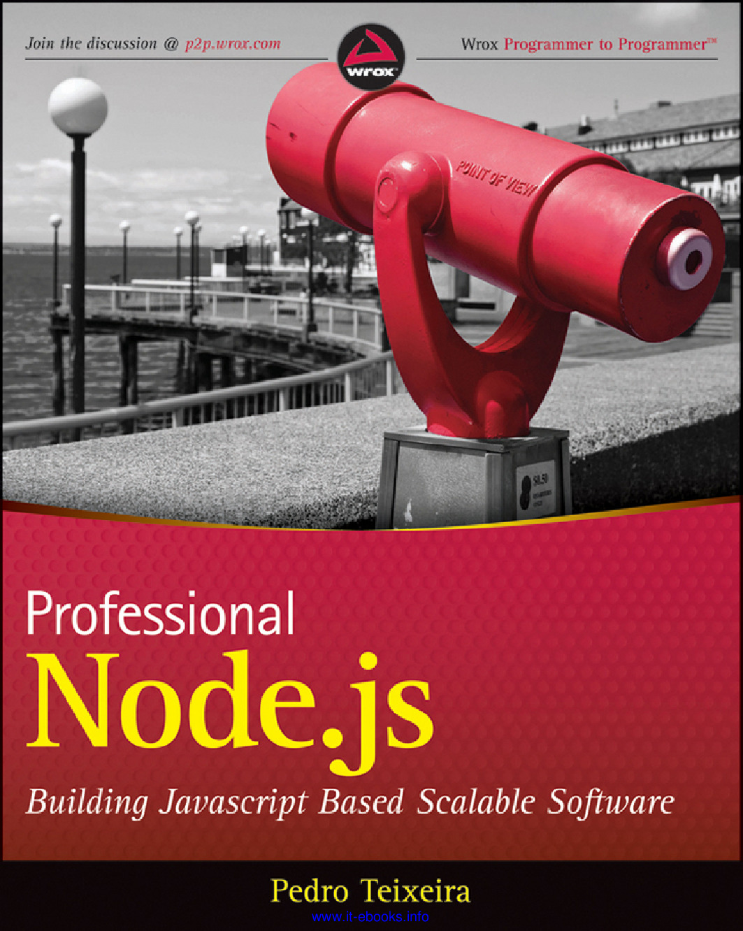 Professional Node.js