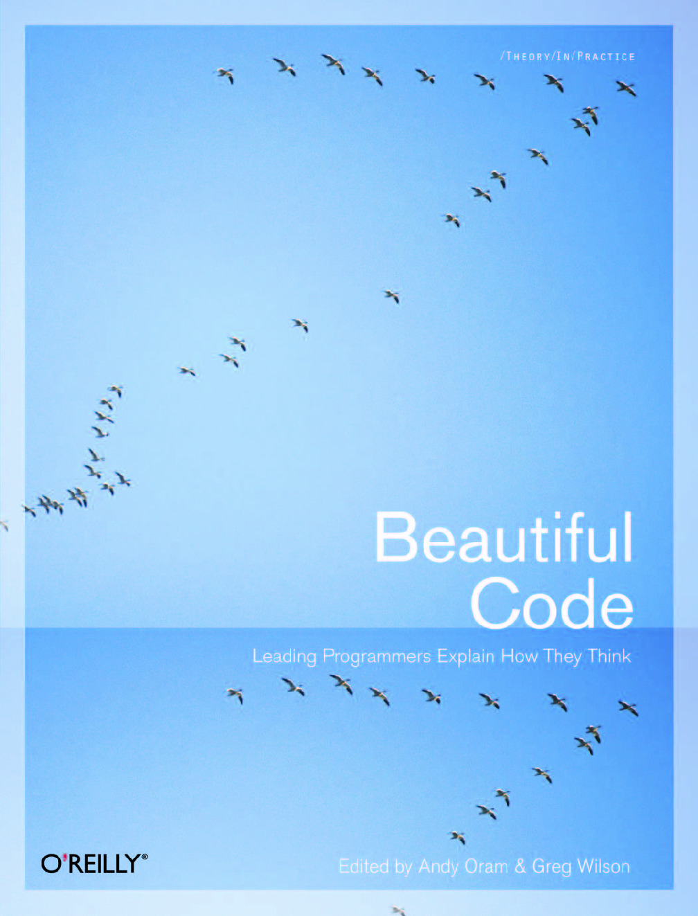 Beautiful Code