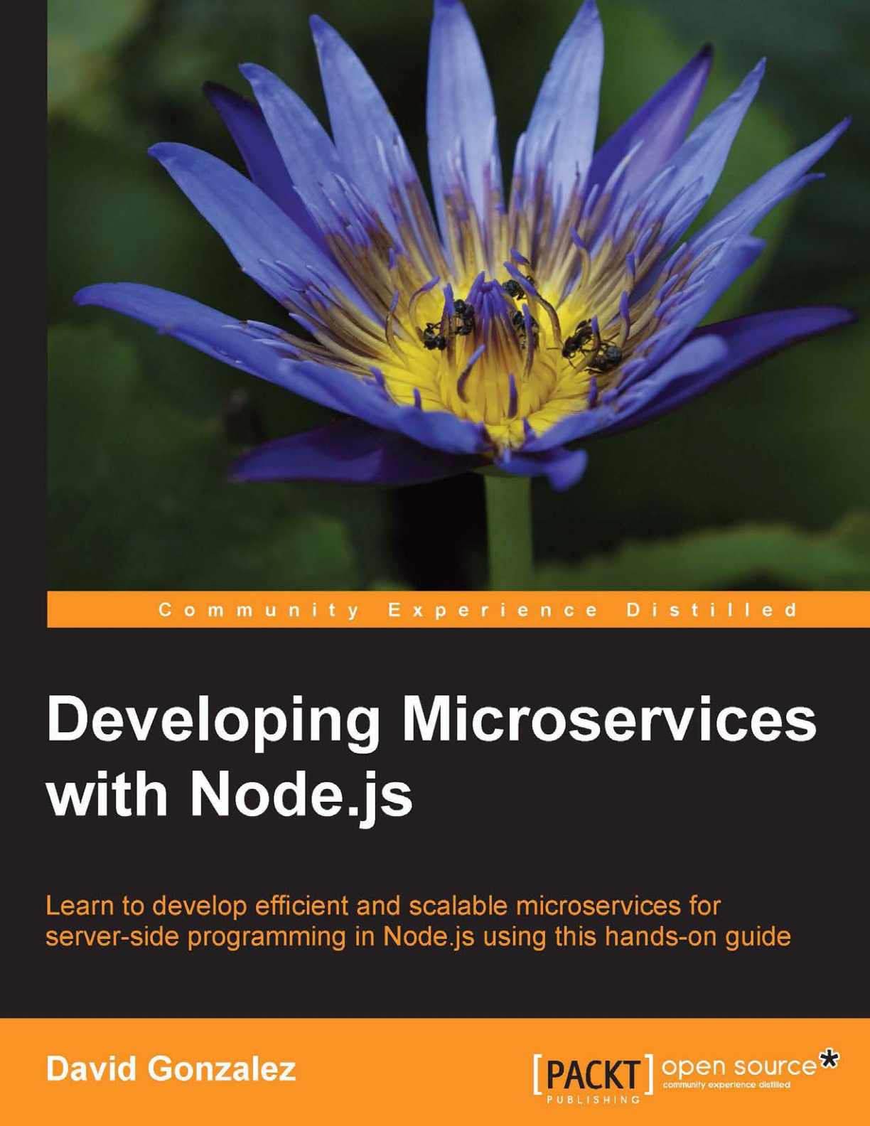 developing-microservices-node-js