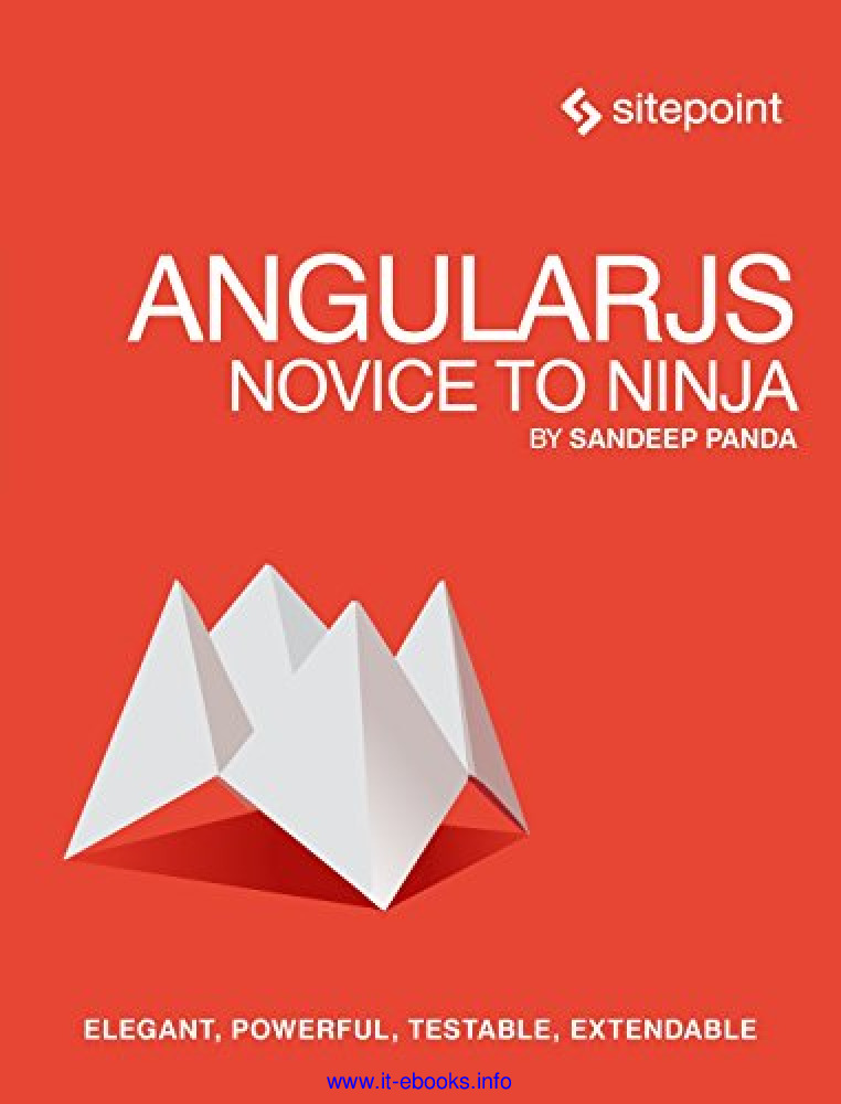 AngularJS- Novice to Ninja