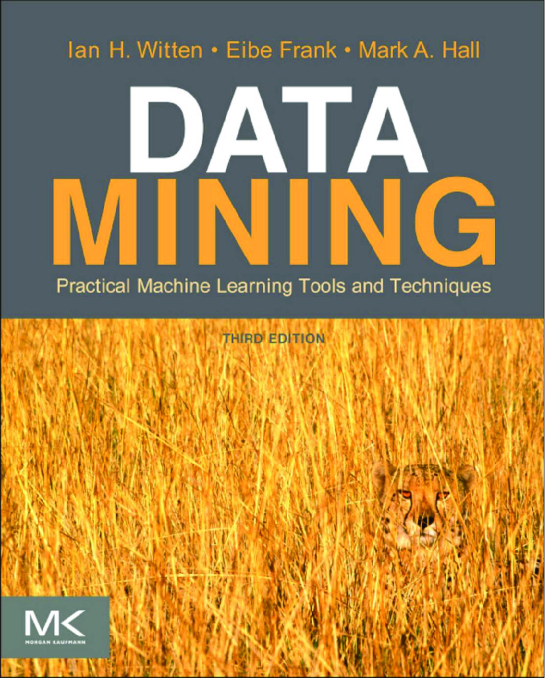 Data Mining Practical Machine Learning Tools and Techniques 3rd edition