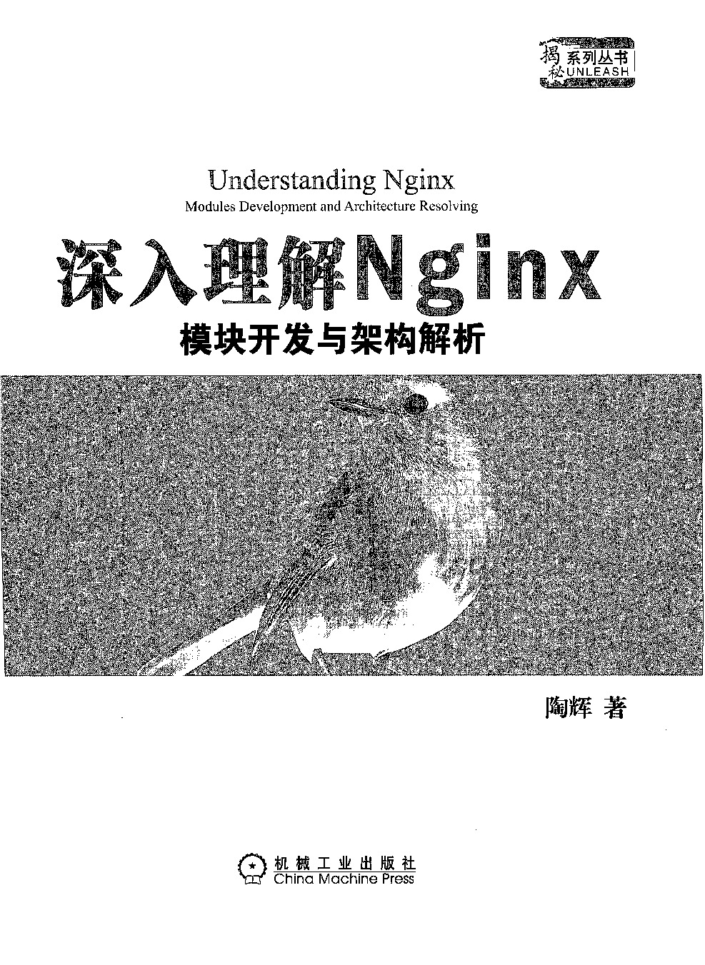 深入理解Nginx模块开发与架构解析