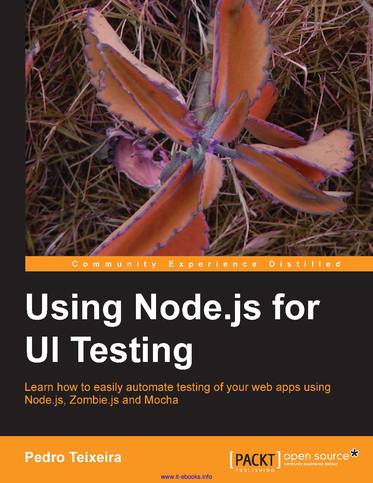 Using Node.js for UI Testing