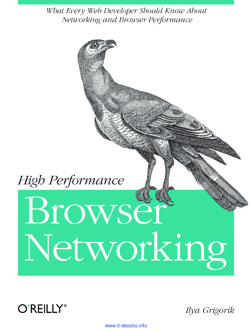 [JAVASCRIPT][High Performance Browser Networking]
