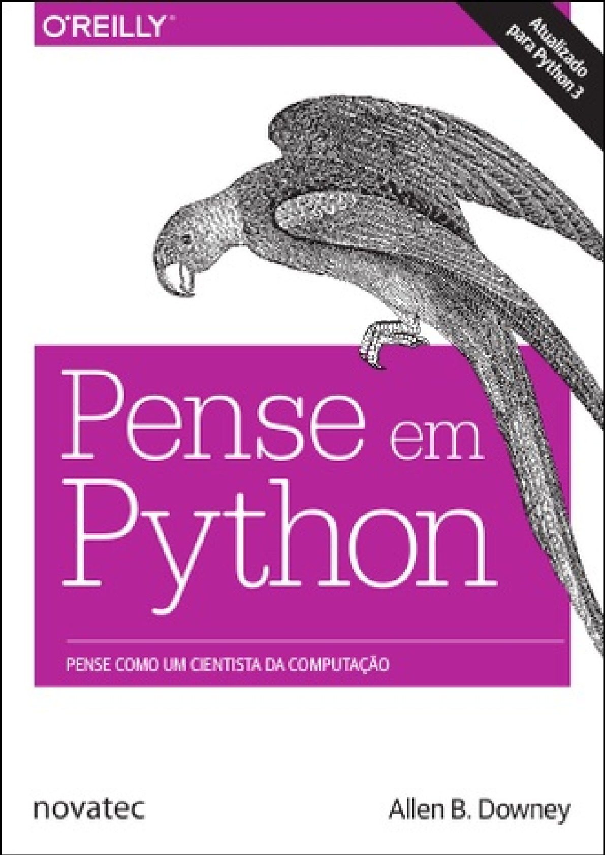 Pense em Python