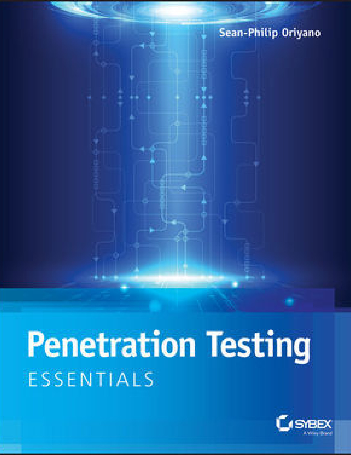 10. Penetration Testing Essentials 2017