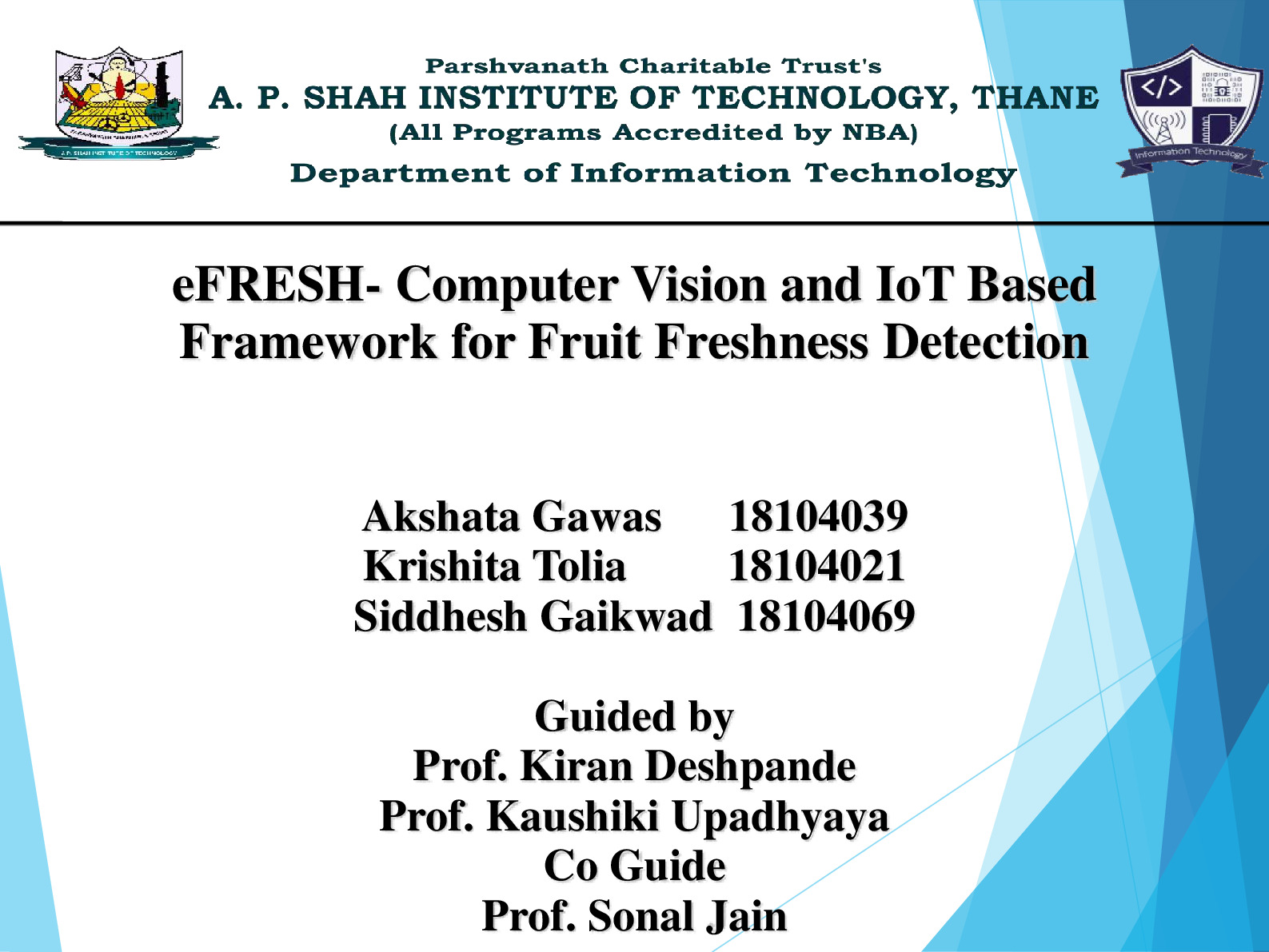 Project Presentation Review2