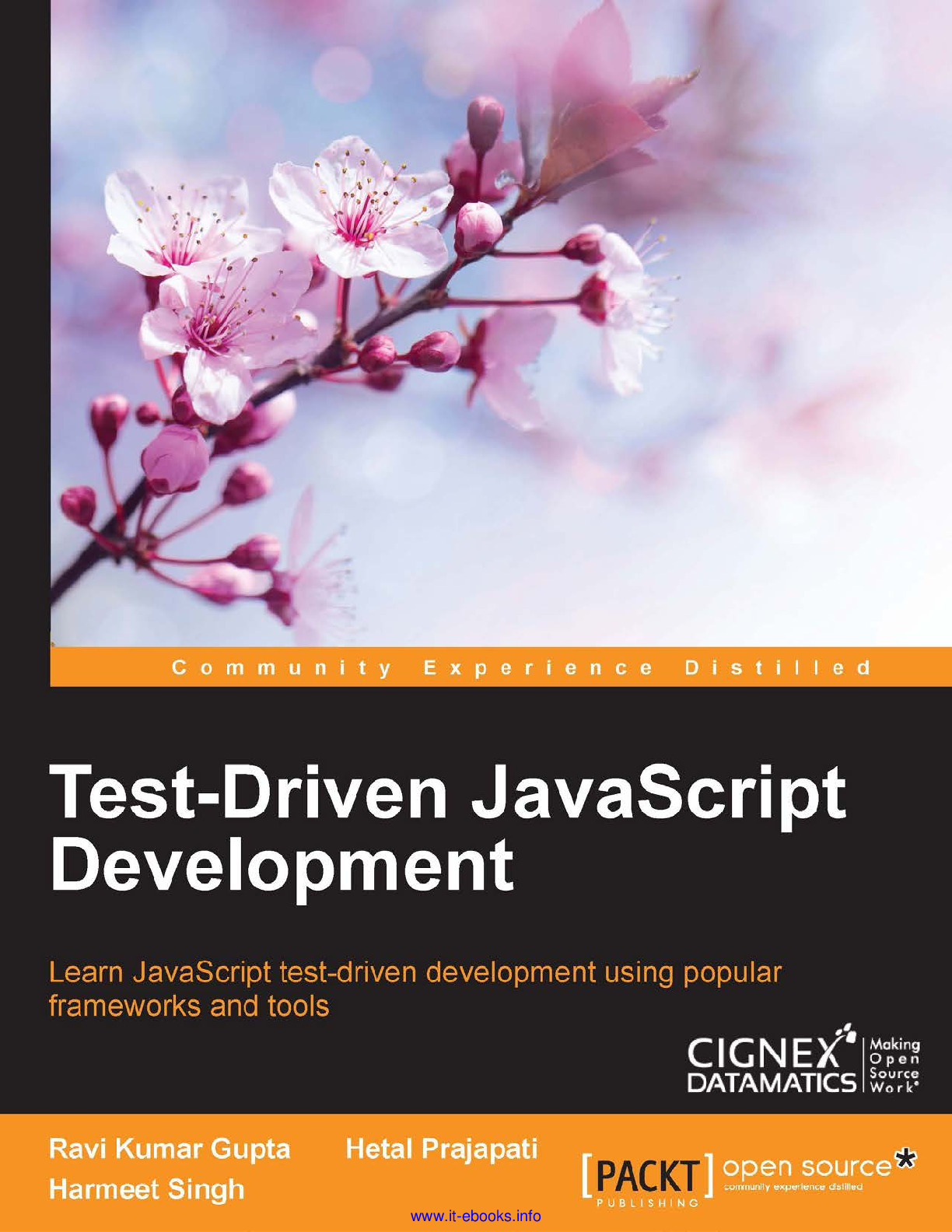 Test-Driven JavaScript Development 2
