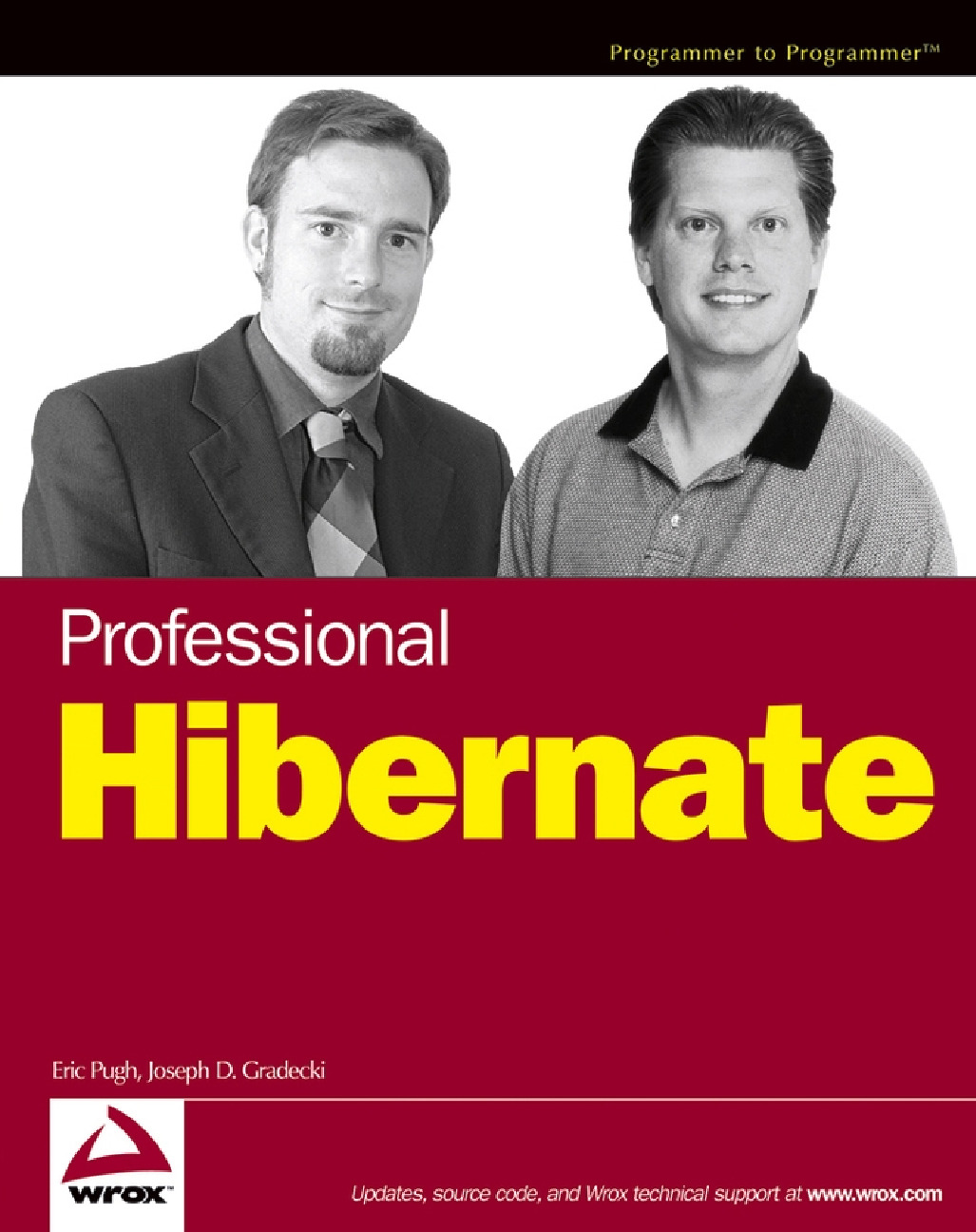 [JAVA][Professional Hibernate]