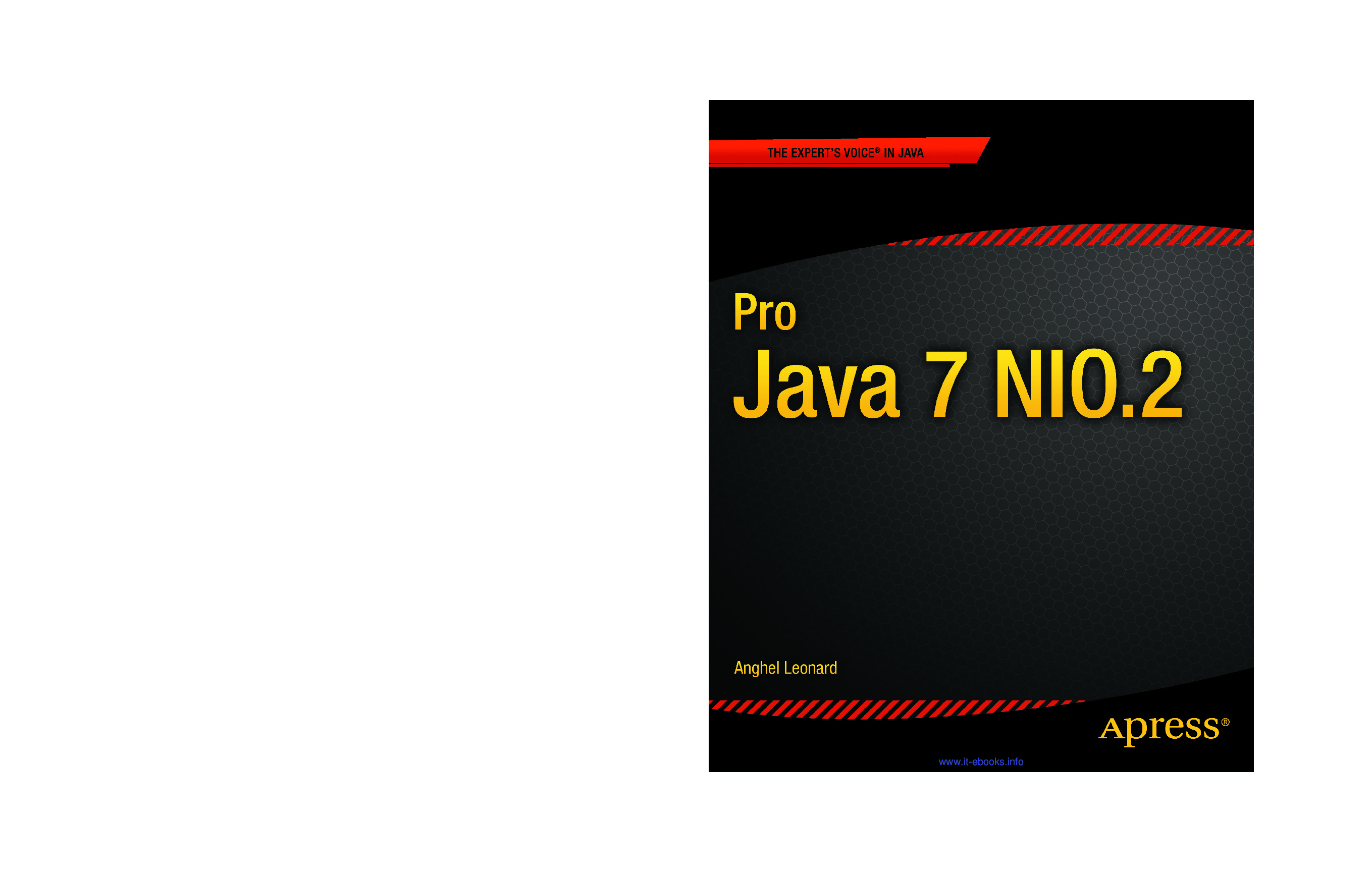 [JAVA][Pro Java 7 NIO.2]