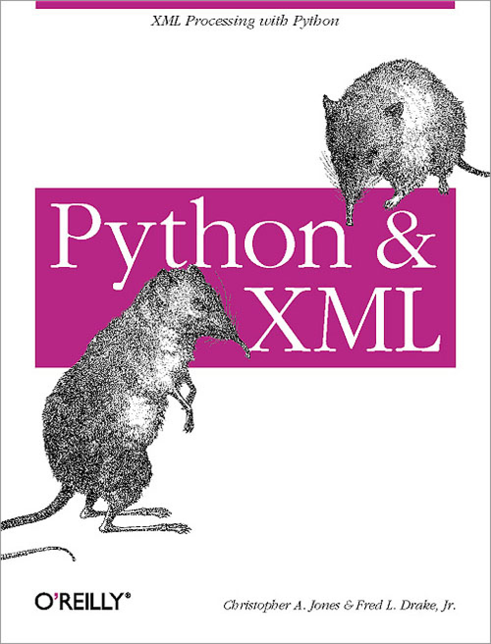 XML Processing with Python