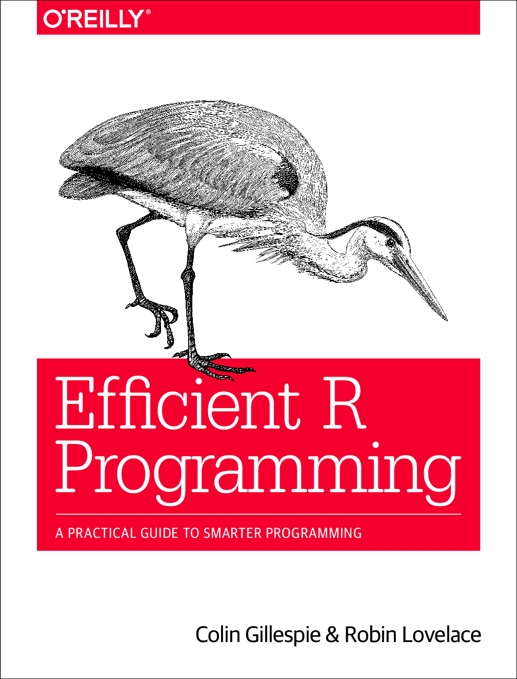 Efficient R Programming_ A Practical Guide to Smarter Programming