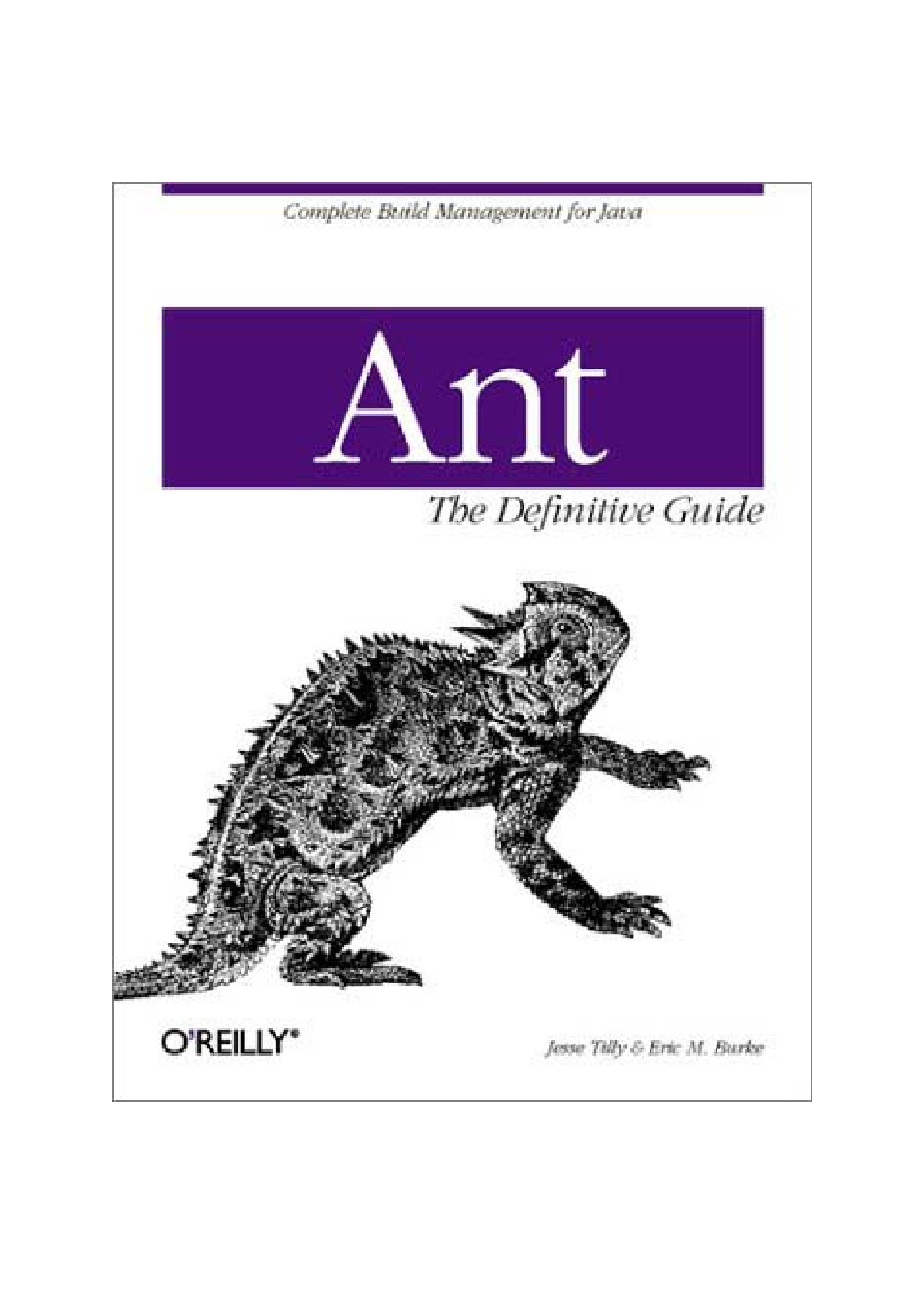[JAVA][Ant The Definitive Guide]