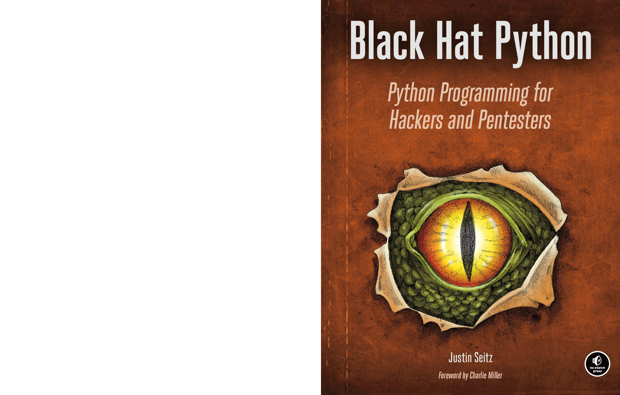 Seitz, Justin – Black hat Python _ Python programming for hackers and pentesters-No Starch Press (2015)