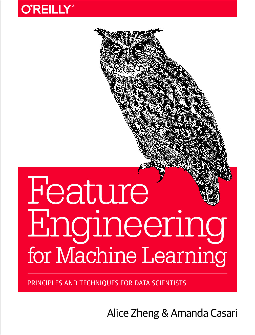 Feature Engineering for Machine Learning – Principles and Techniques for Data Scientists
