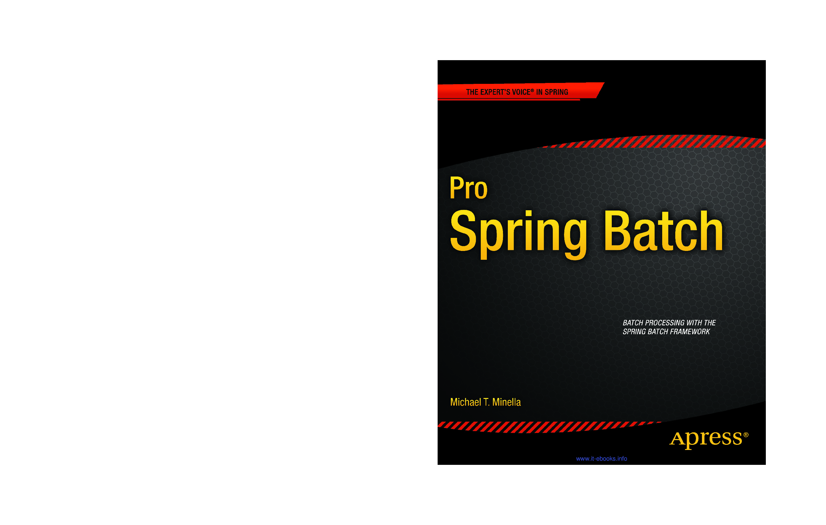 Pro Spring Batch