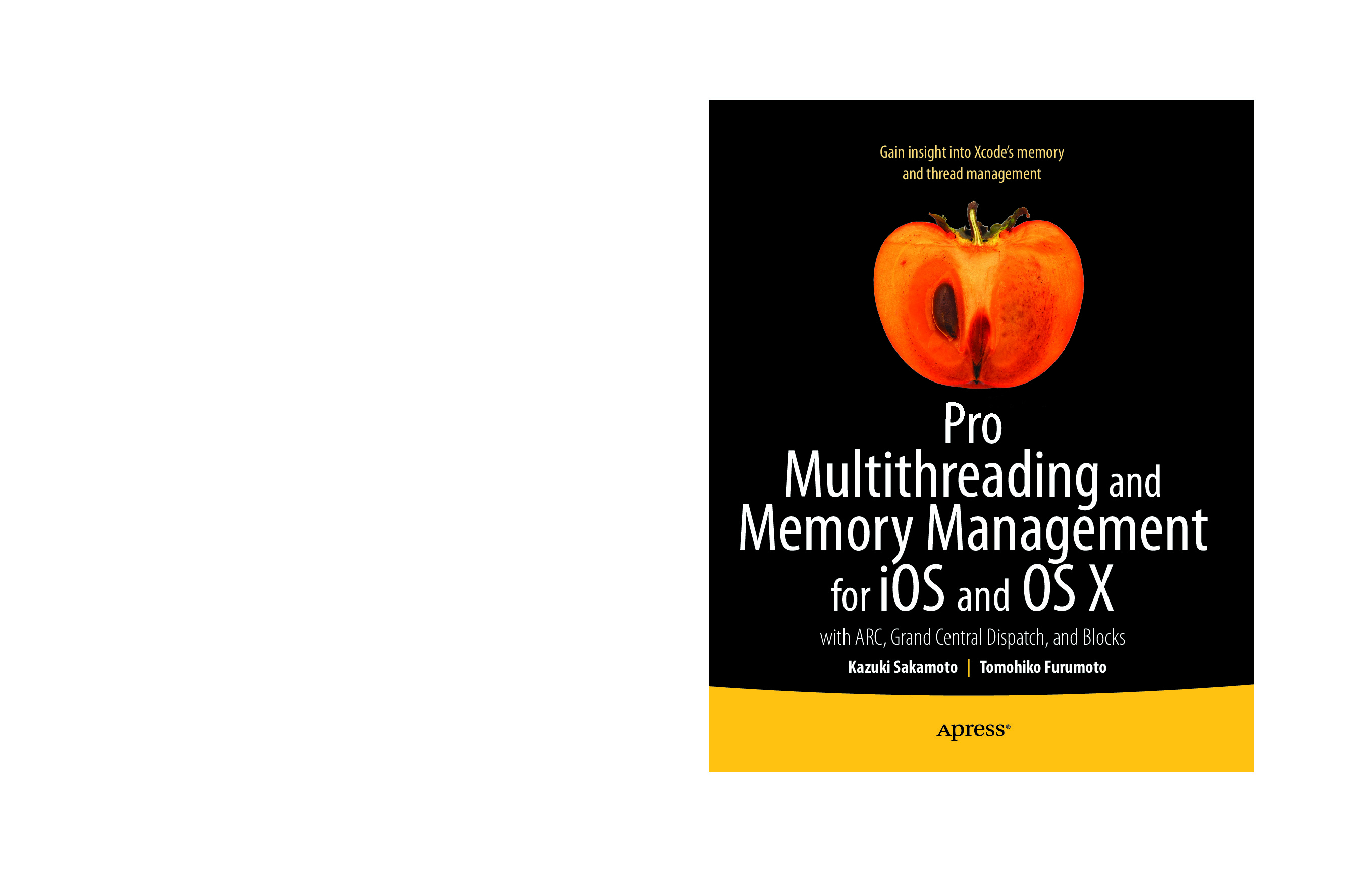 Pro Multithreading and Memory Management for iOS and OS X with ARC, Grand Central Dispatch, and Blocks