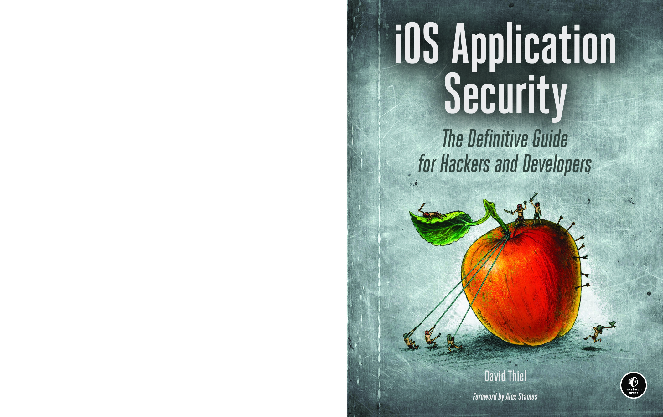 iosapplicationsecurity