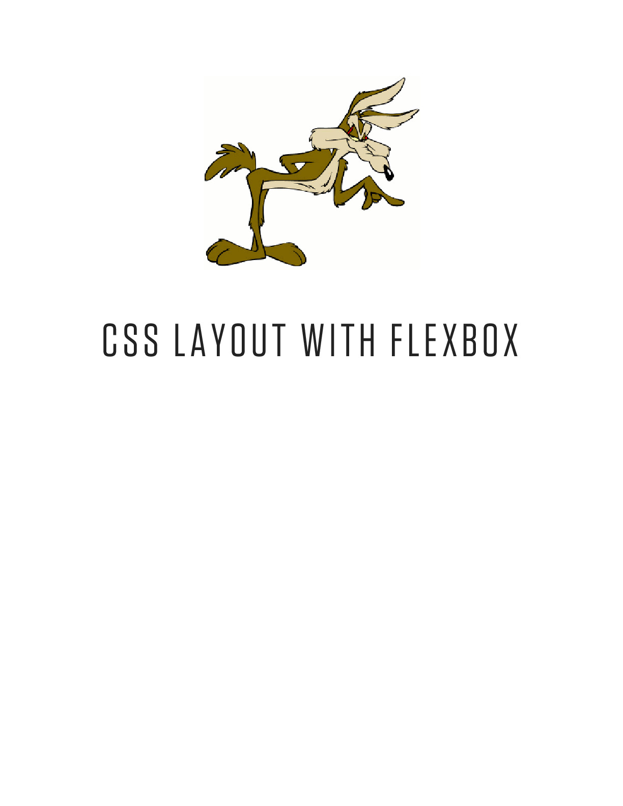 CSS FlexBox