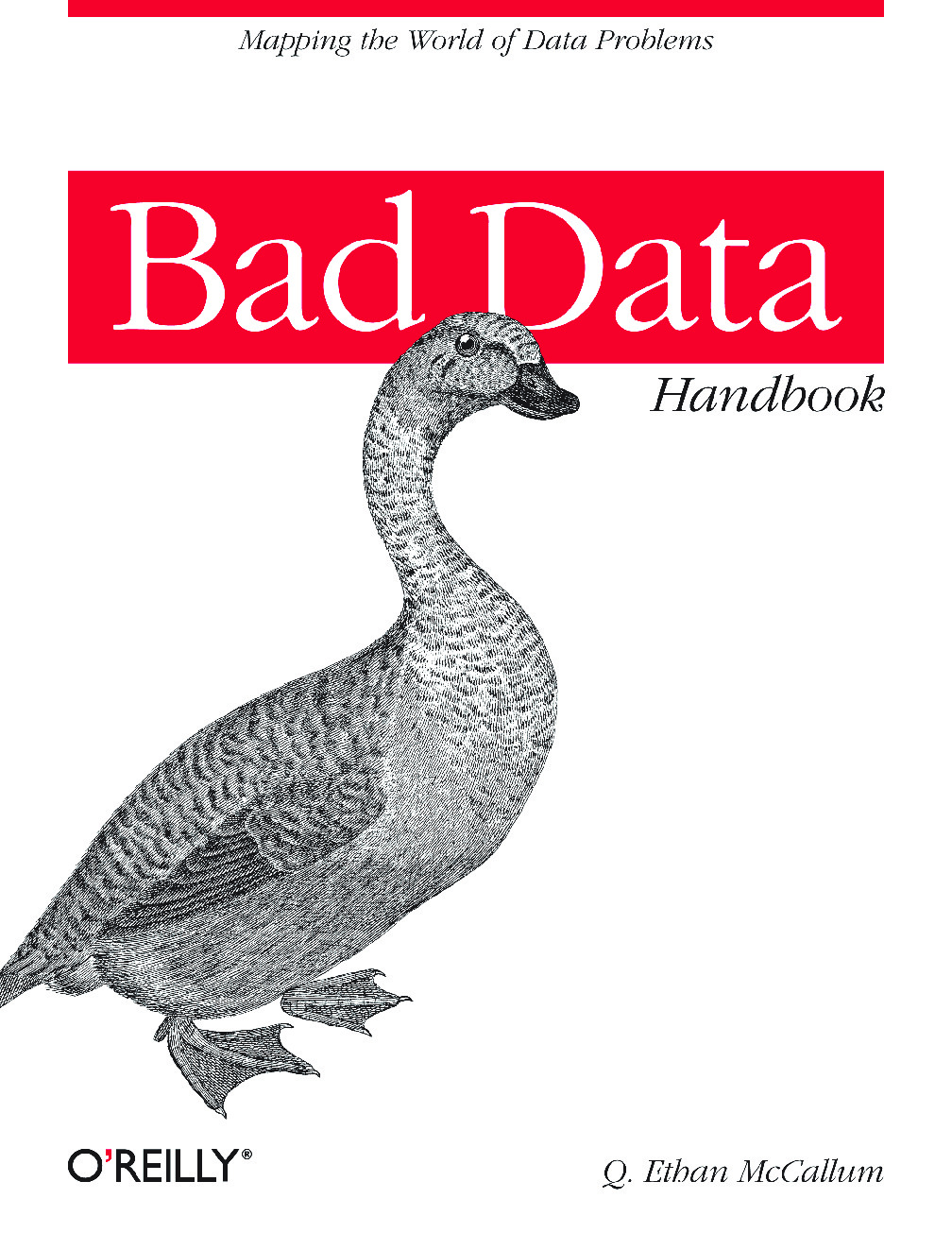 Bad Data Handbook – Cleaning Up The Data So You Can Get Back To Work