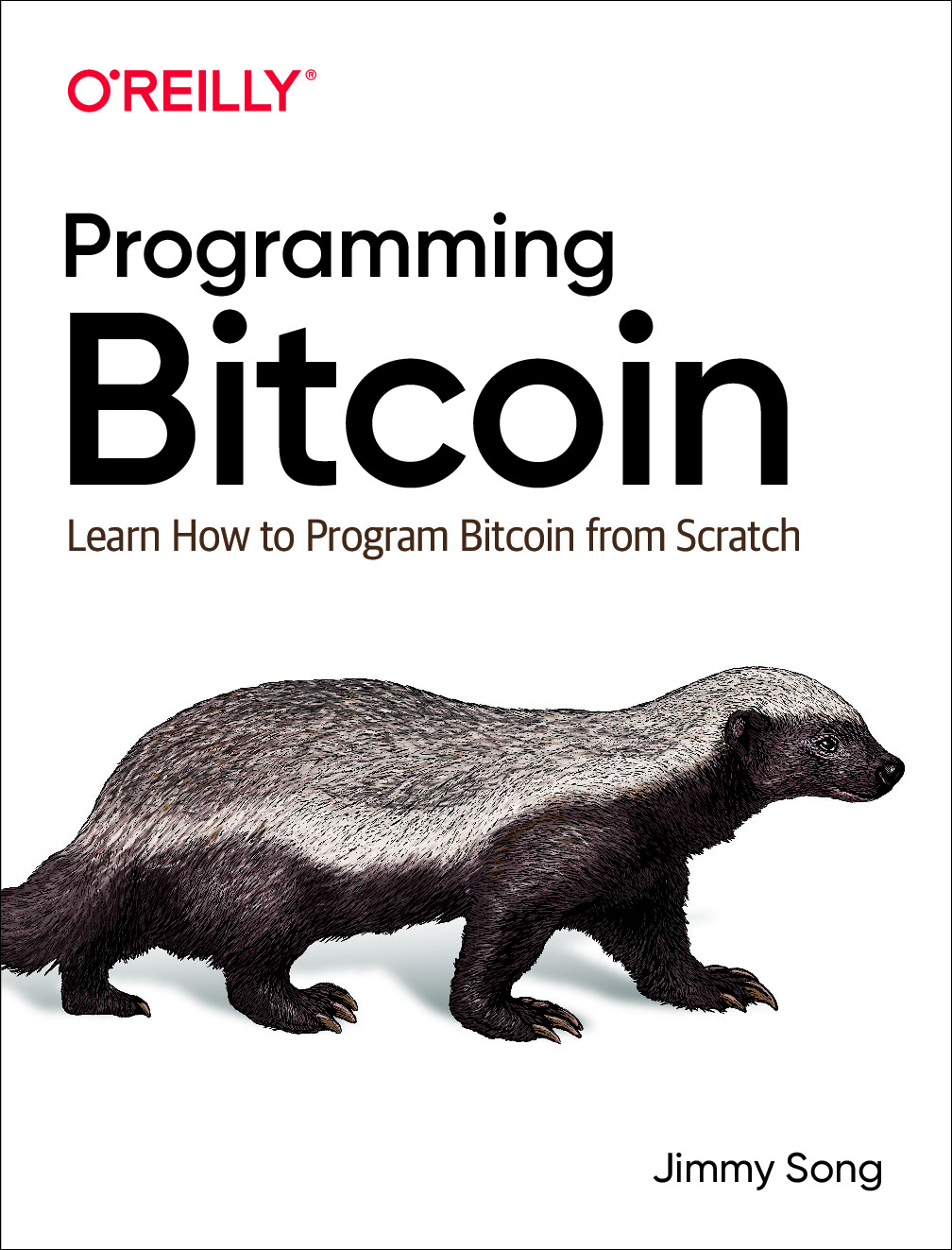 Programming Bitcoin – Learn How to Program Bitcoin from Scratch