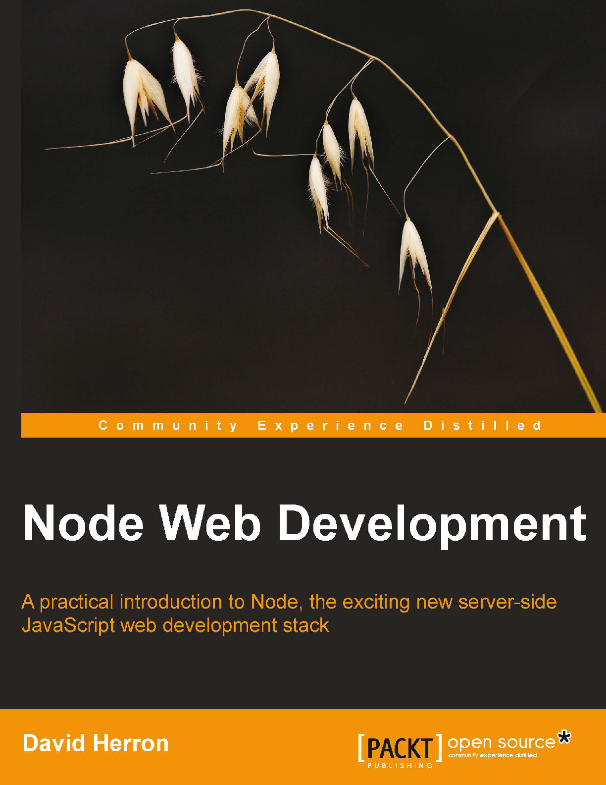 Node Web Development