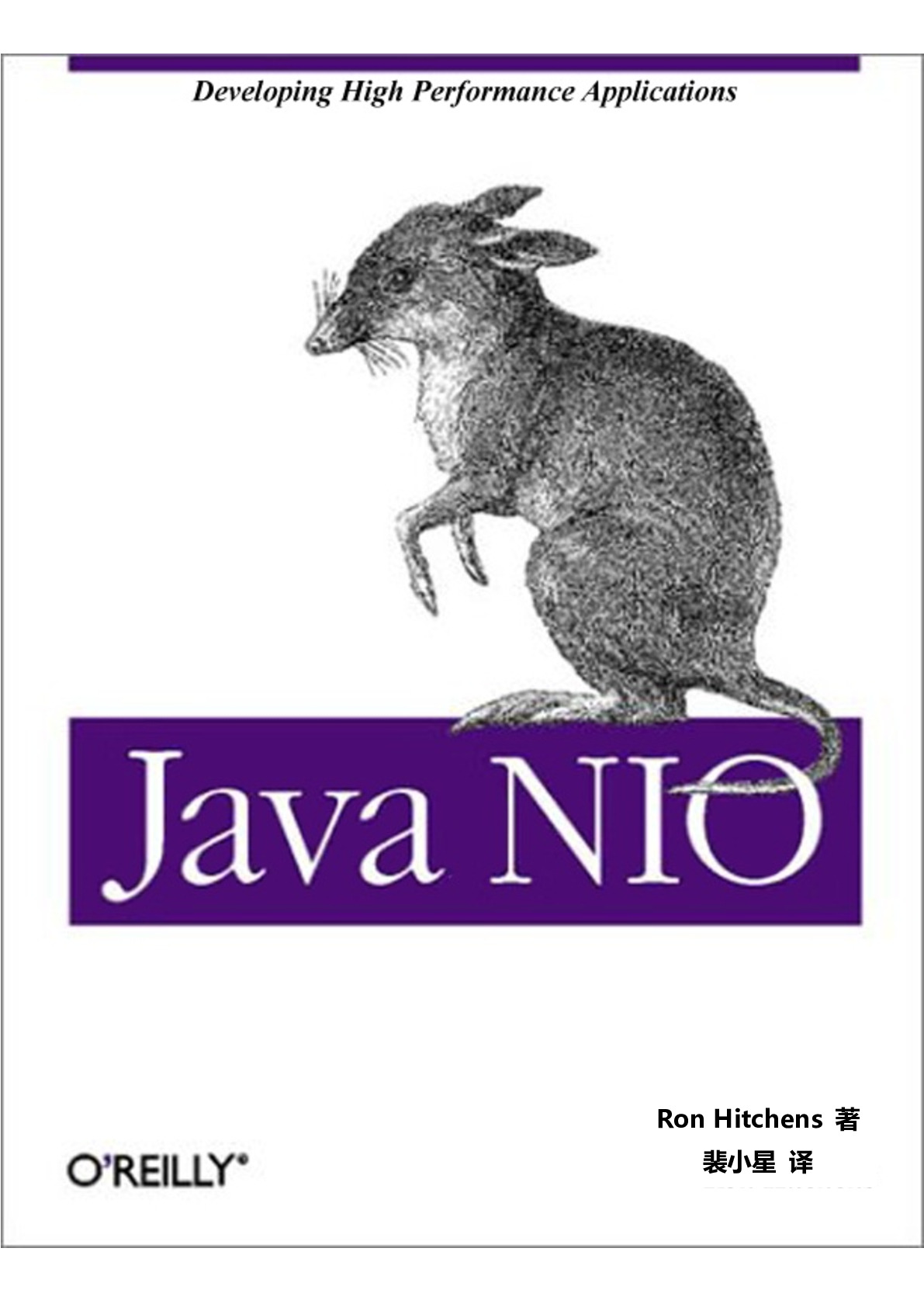 Java NIO (中文版)