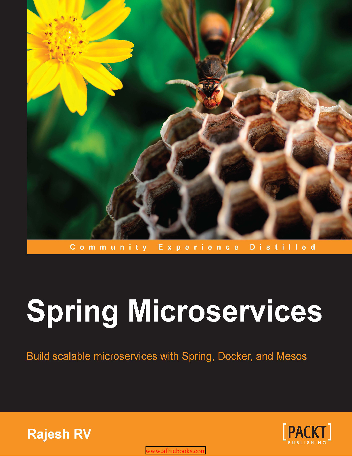 Spring Microservices