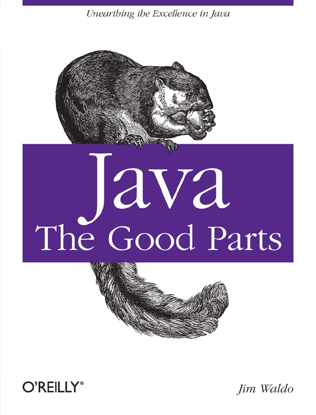 Java The Good Parts