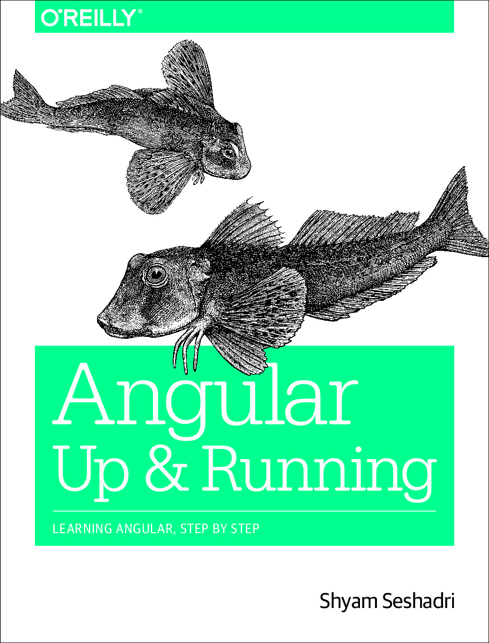 angular_upandrunning