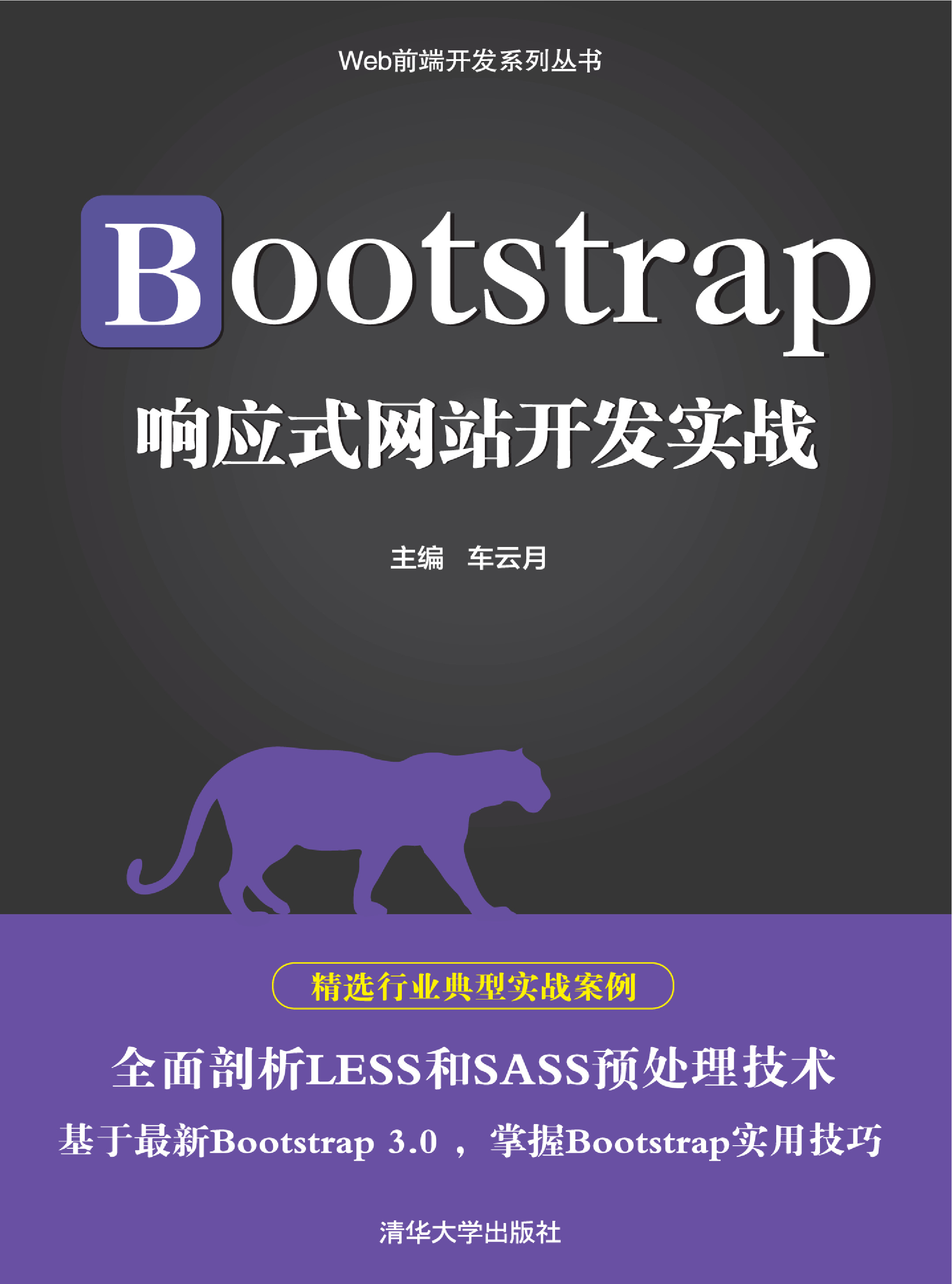 Bootstrap响应式网站开发实战