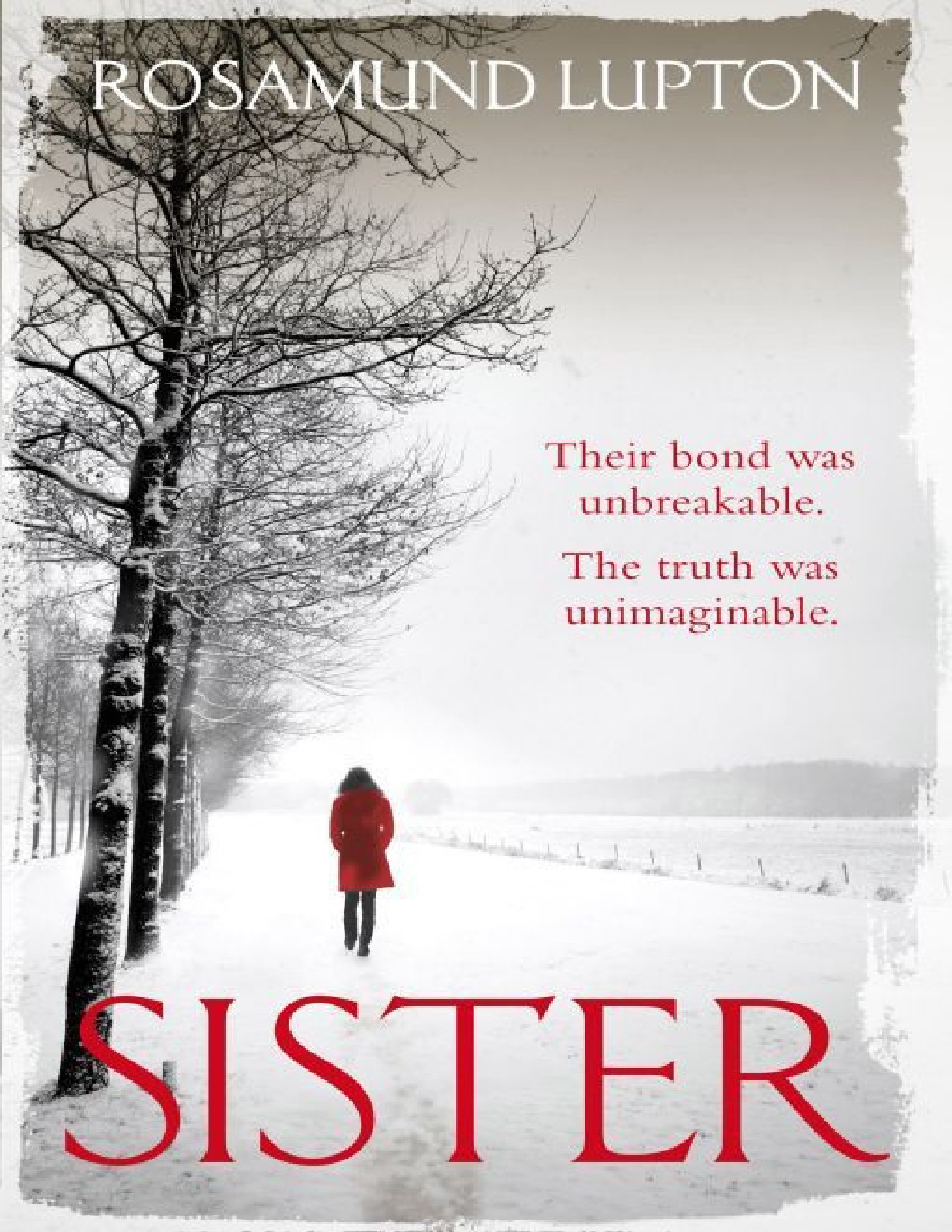 Sister a Novel (2010) – Rosamund Lupton