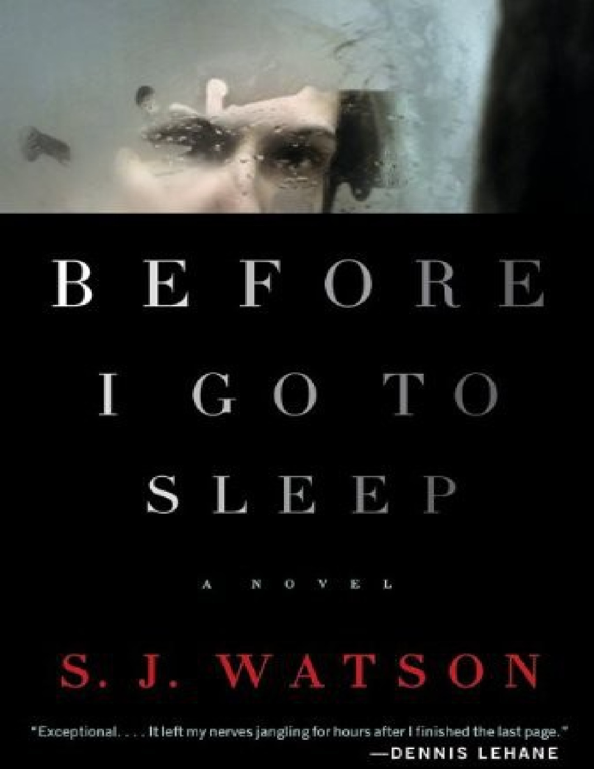 Before I Go to Sleep – S. J. Watson