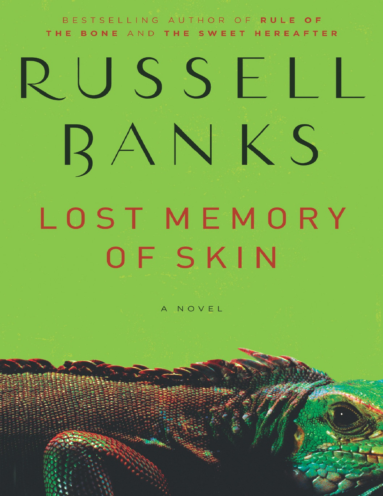 Lost Memory of Skin – Russell Banks